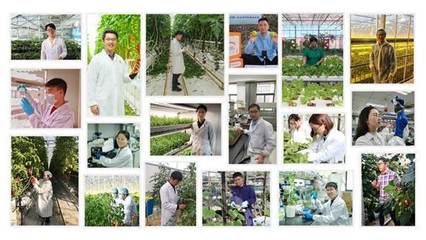 耕耘未來 當“90后”學霸愛上農業(yè)技術研究